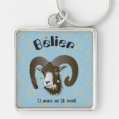 Bélier 21 Mars, 20 avril Porte-clés Schlüsselanhänger (Vorne)