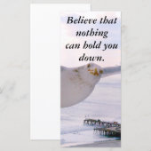 BELIEVE_ (Vorne/Hinten)