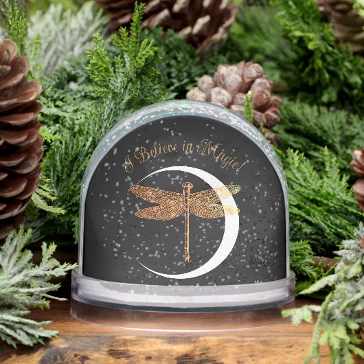 Believe in Magic! Schneekugeln (Winter)