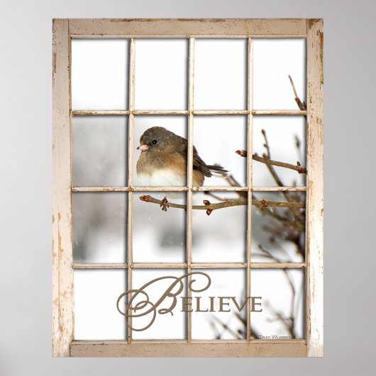 BELIEVE POSTER - GEBURT DURCH FENSTER (Vorne)