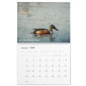 Belinda Greb Fotografy Calendar Kalender (Jan 2027)