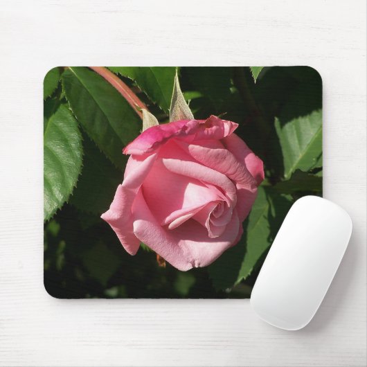 Belinda rosa TraumRose Mousepad (Mit Mouse)