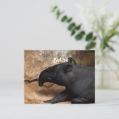 Belize Baird's Tapir Postkarte (Stehend Vorderseite)