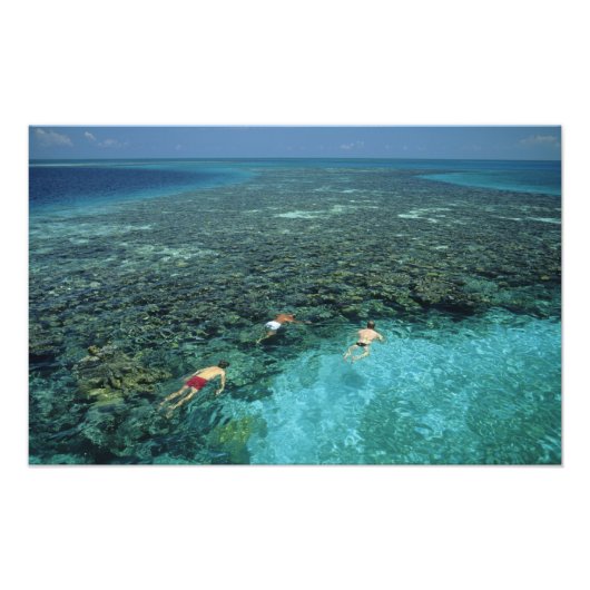 Belize, Barrier Reef, Lighthouse Reef, Blau Fotodruck (Vorne)