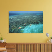 Belize, Barrier Reef, Lighthouse Reef, Blau Leinwanddruck (Insitu (Wohnzimmer))