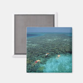 Belize, Barrier Reef, Lighthouse Reef, Blau Magnet (Vorderseite/Rückseite)