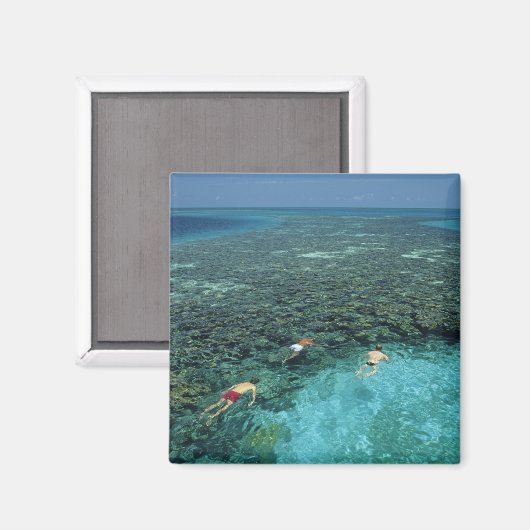 Belize, Barrier Reef, Lighthouse Reef, Blau Magnet (Vorderseite/Rückseite)