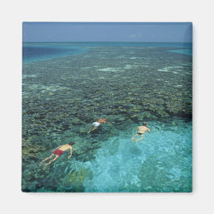 Belize, Barrier Reef, Lighthouse Reef, Blau Magnet