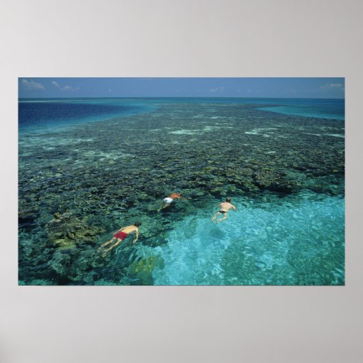 Belize, Barrier Reef, Lighthouse Reef, Blau Poster (Vorne)