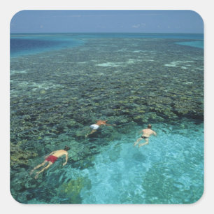 Belize, Barrier Reef, Lighthouse Reef, Blau Quadratischer Aufkleber