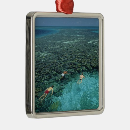 Belize, Barrier Reef, Lighthouse Reef, Blau Silbernes Ornament (Rechts)