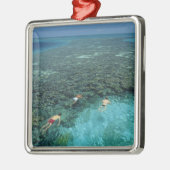 Belize, Barrier Reef, Lighthouse Reef, Blau Silbernes Ornament (Links)