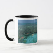 Belize, Barrier Reef, Lighthouse Reef, Blau Tasse (Links)