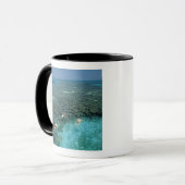 Belize, Barrier Reef, Lighthouse Reef, Blau Tasse (Vorderseite Links)