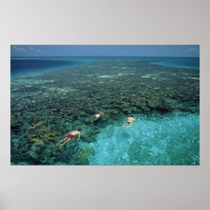 Belize, Barrier-Riff, Lighthouse Reef, Blau Poster