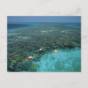 Belize, Barrier-Riff, Lighthouse Reef, Blau Postkarte
