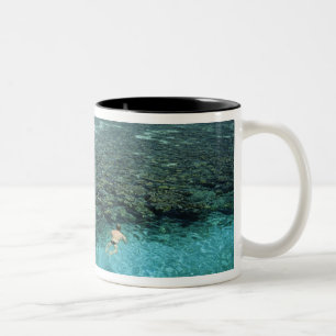Belize, Barrier-Riff, Lighthouse Reef, Blau Zweifarbige Tasse