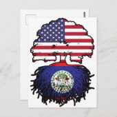 Belize Belizean American USA Tree Roots Flag Postkarte (Vorne/Hinten)