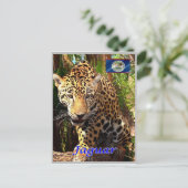 Belize - Belizische Dschungel - Postkarte (Stehend Vorderseite)