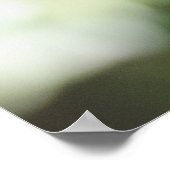 Belize Bird, grünes Olivenöl Poster (Ecke)