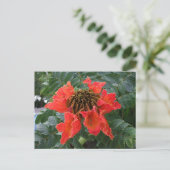 Belize-Blume Postkarte (Stehend Vorderseite)