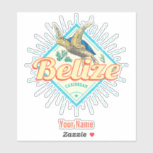 Belize Caribbean Retro Turtle Vintag Souvenir
