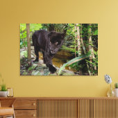 Belize City Zoo. Schwarzer Panther Leinwanddruck (Insitu (Wohnzimmer))