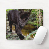 Belize City Zoo. Schwarzer Panther Mousepad (Mit Mouse)