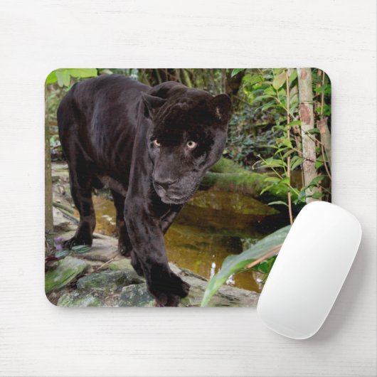 Belize City Zoo. Schwarzer Panther Mousepad (Mit Mouse)