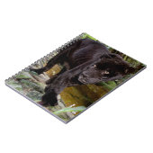 Belize City Zoo. Schwarzer Panther Notizblock (Linke Seite)