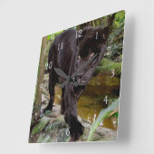 Belize City Zoo. Schwarzer Panther Quadratische Wanduhr (Winkel)