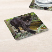 Belize City Zoo. Schwarzer Panther Rechteckiger Pappuntersetzer (angewinkelt)