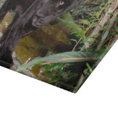 Belize City Zoo. Schwarzer Panther Schneidebrett (Ecke)