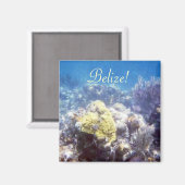 Belize! Coral Reef Magnet (Vorderseite/Rückseite)