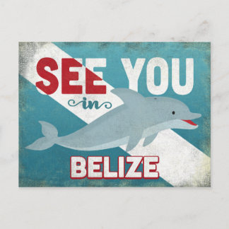 Belize Dolphin - Retro Vintage Travel Postkarte