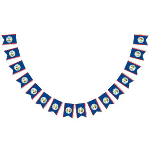 Belize Flag Banner