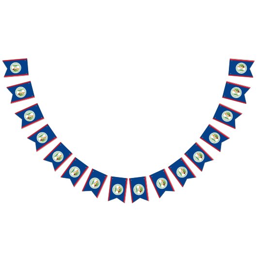 Belize Flag Banner (Alle)