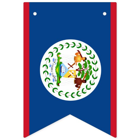 Belize Flag Banner (Erste Fahne)