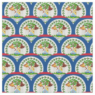 Belize Flag & Belize Trendy Fabrik /mode Stoff
