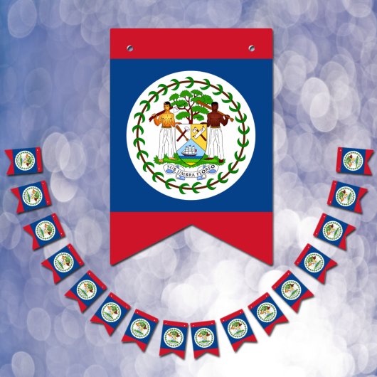 Belize Flag & Party Belize Banners / Hochzeiten Wimpelkette
