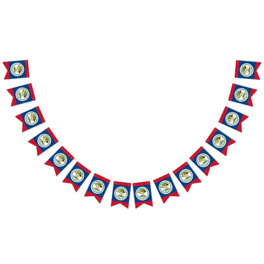 Belize Flag & Party Belize Banners / Hochzeiten Wimpelkette (Alle)