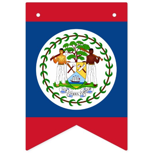 Belize Flag & Party Belize Banners / Hochzeiten Wimpelkette (Erste Fahne)