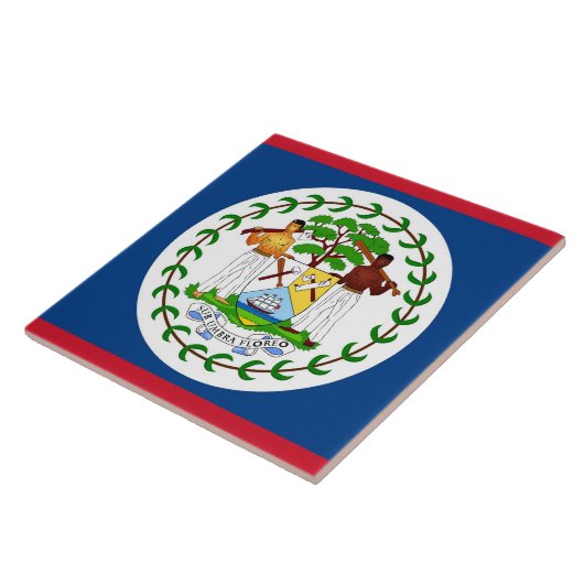 Belize Flag Tile Fliese (Seite)