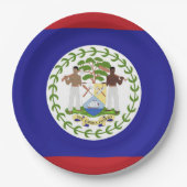 Belize-Flagge Pappteller (Vorderseite)