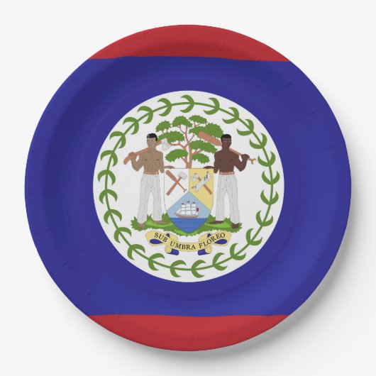 Belize-Flagge Pappteller (Vorderseite)