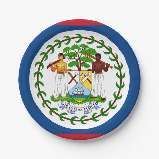Belize-Flagge Pappteller (Vorderseite)