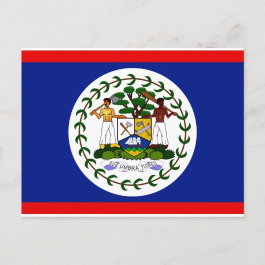 Belize-Flagge Postkarte (Vorderseite)