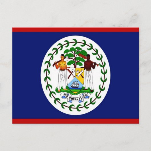 Belize - Flagge - Postkarte (Vorderseite)