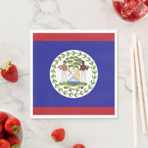 Belize-Flagge Serviette