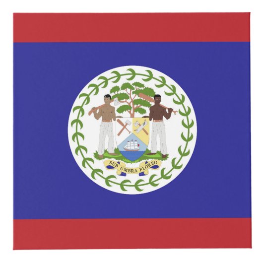 Belize-Flagge Würfel (Rechts)